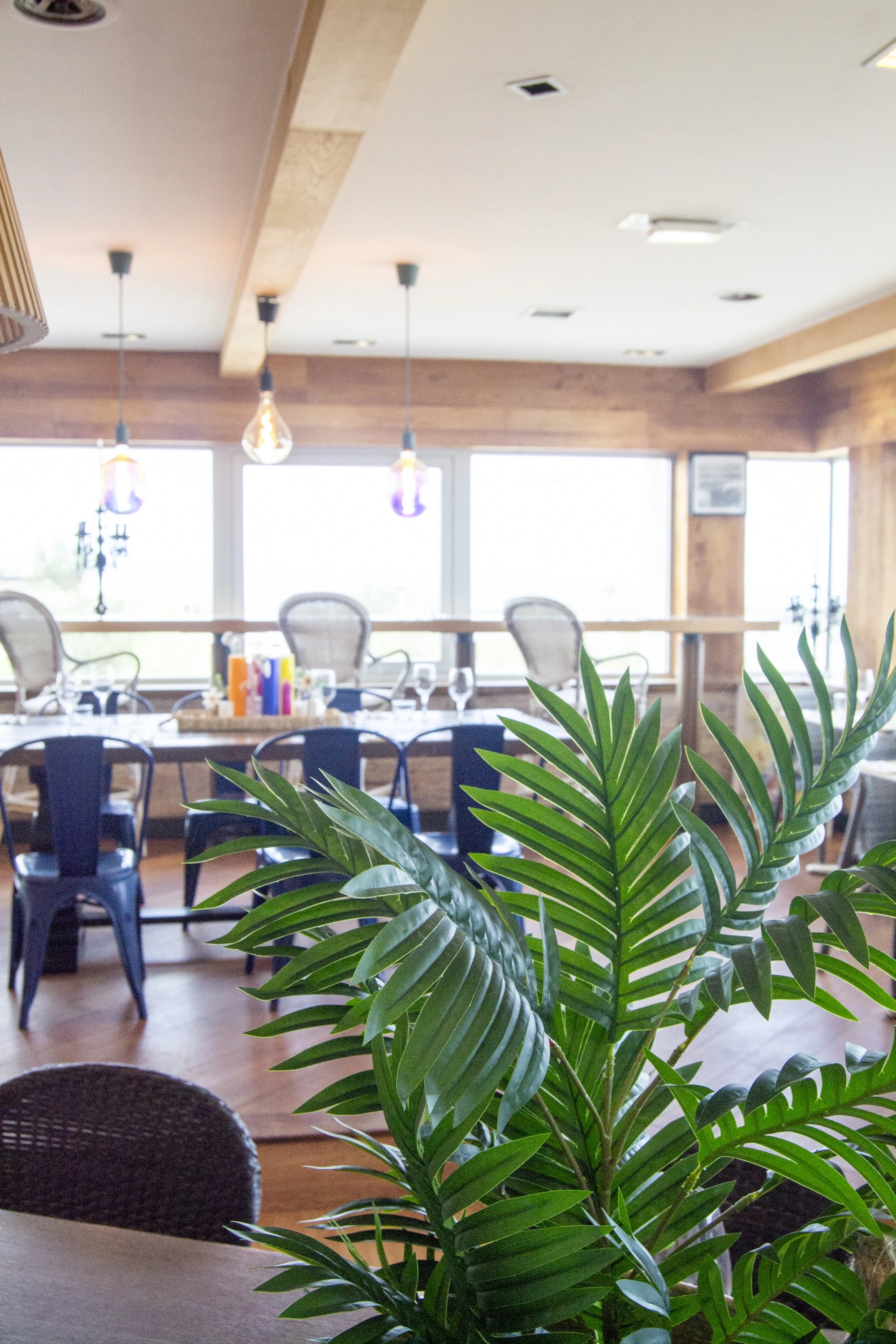 Salle lumineuse décorée de plantes pour un événement